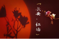 1710206613266408.png 1710206613266408.png