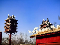 1710207049883877.png 1710207049883877.png