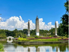 1710207488531634.png 1710207488531634.png