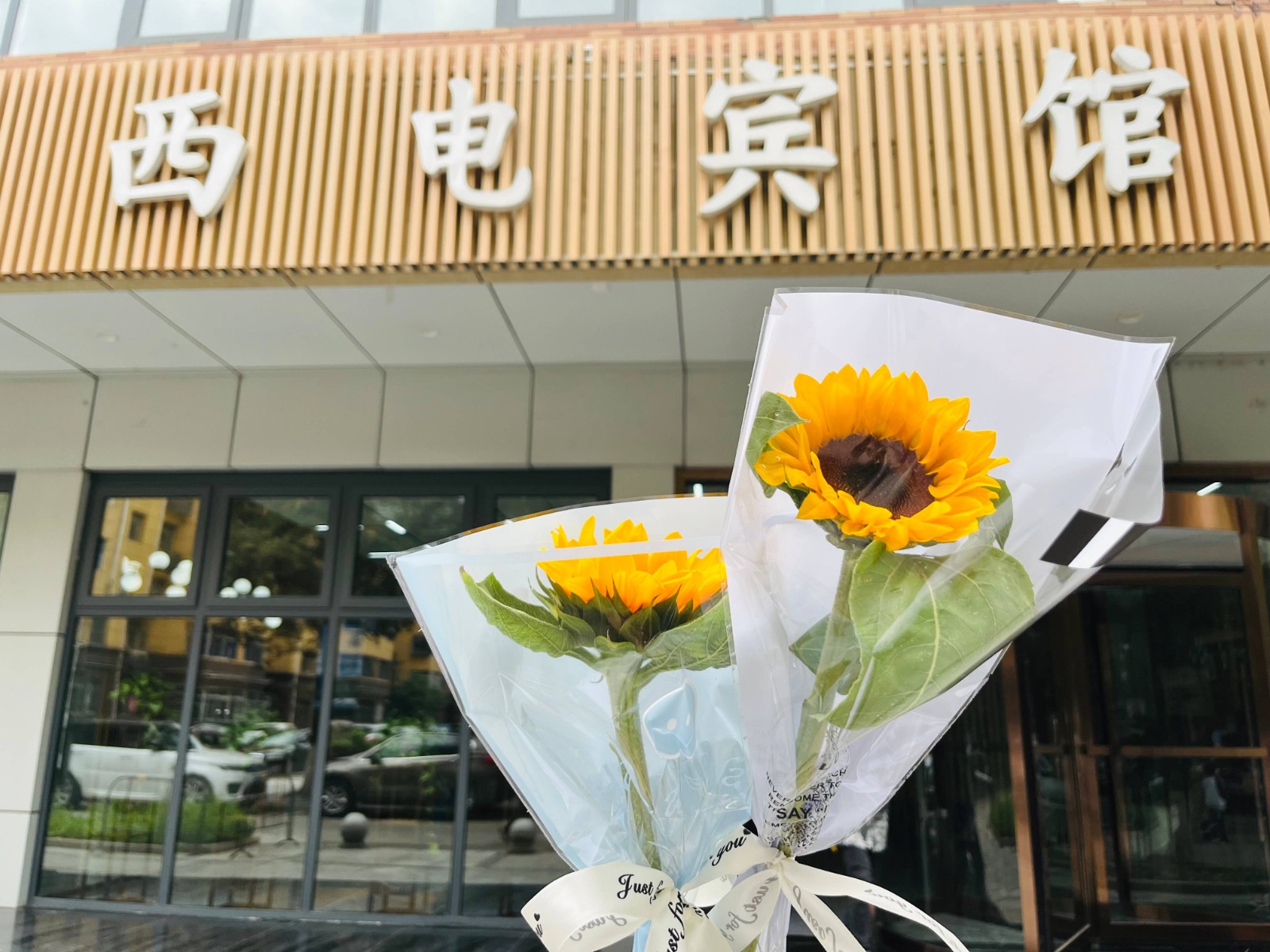 1719395393695141.jpg 1719395393695141.jpg